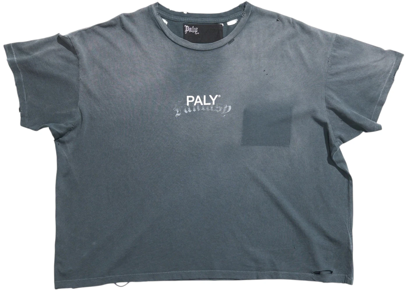 Paly Core Logo Tee Washed Blue Men's - SS26 - US