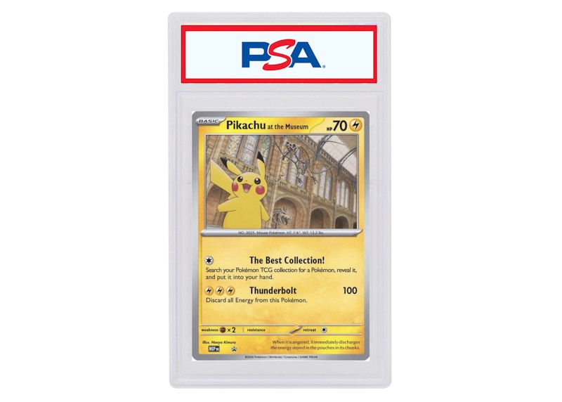 Pikachu at the Museum Pokémon Natural History Museum Promo (Jumbo