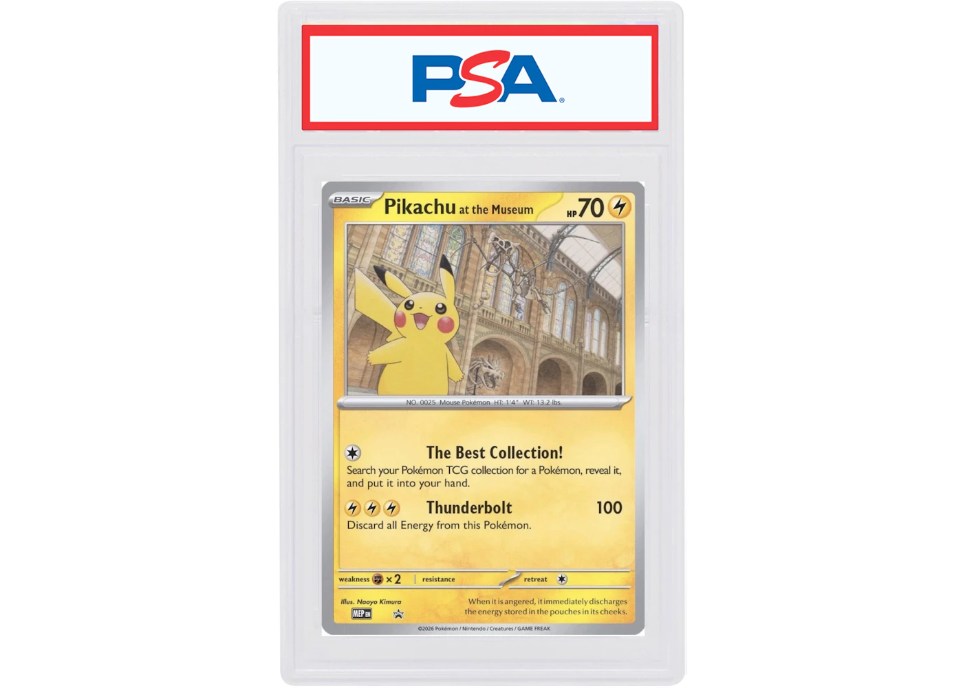 Pikachu at the Museum Pokmon Natural History Museum Promo (Jumbo) (PSA or BGS Graded) - US Pikachu at the Museum Pokmon Natural History Museum Promo (Jumbo) (PSA or BGS Graded) - US