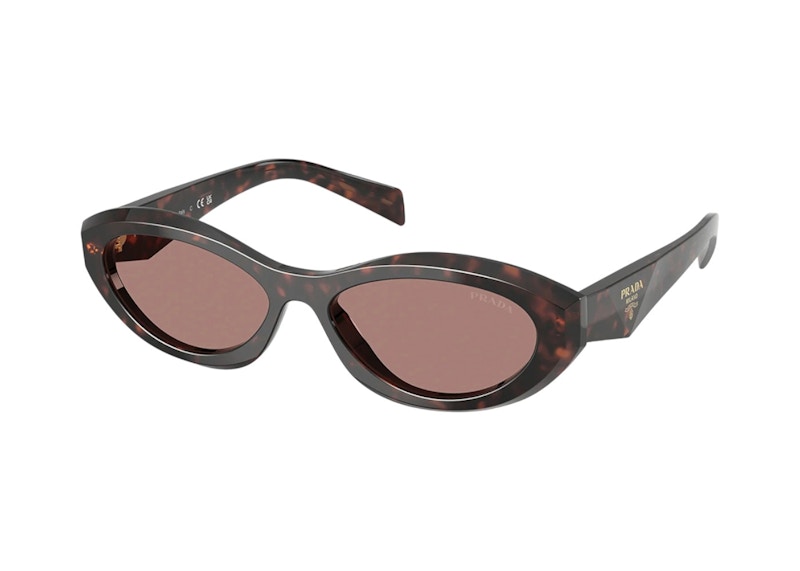 Women's Prada Oval Sunglasses in Root Tortoise (Pr_26Zs_17N60B_55Mm)