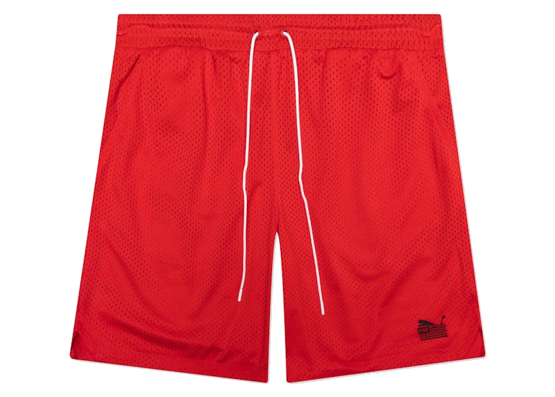 Puma hot sale mesh shorts