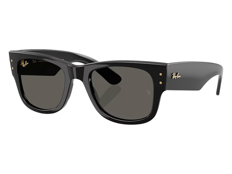 Ray-Ban ブラック サングラス ケース付き