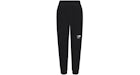 SKIMS x TNF 1995 Retro Denali Fleece Pant Onyx