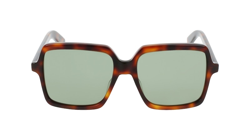 Saint Laurent Square Sunglasses Havana/Havana/Green (Sl174-30001575-002)