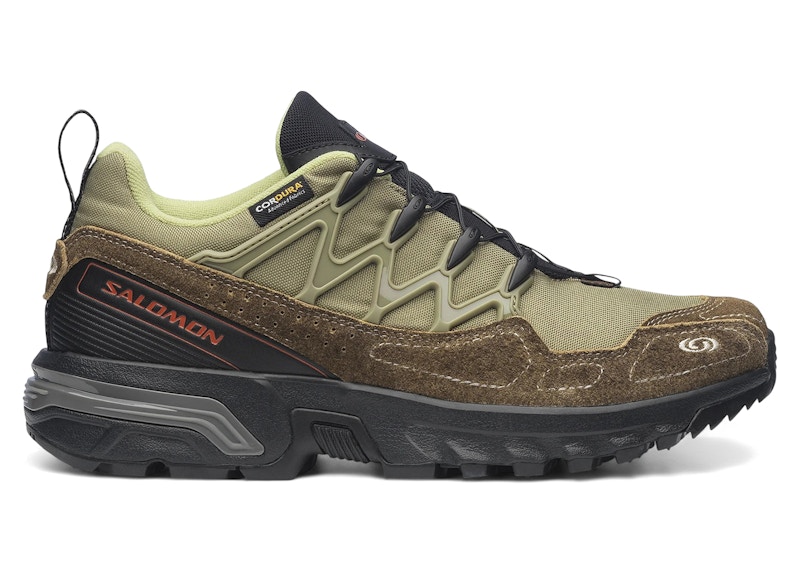 ＡＬＯＥです。 SALOMON XT-6 ALOE WASH / HAZELNUT / FEATHER GRAY | TODAY