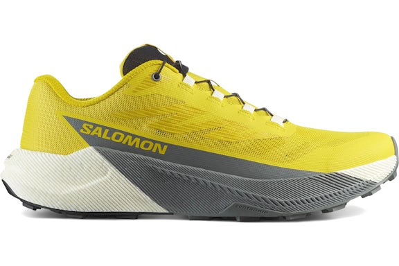 Salomon Pulsar Incaberry Sedona Sage