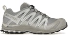 Salomon XA Pro 3D Alloy Silver