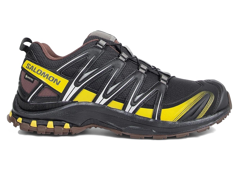 Salomon XA Pro 3D Gore-Tex Cress Green French Roast Men's