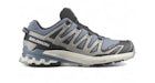 Salomon XA Pro 3D V9 Gore-Tex Flint Stone Black Ghost Grey
