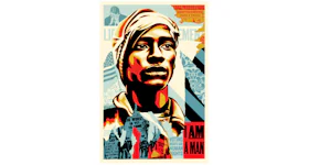 Shepard Fairey Voting Rights Are Human Rights Offset Print (Signed, Open Edition)
