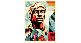 Shepard Fairey Voting Rights Are Human Rights Print (Signed, Edition of 550)