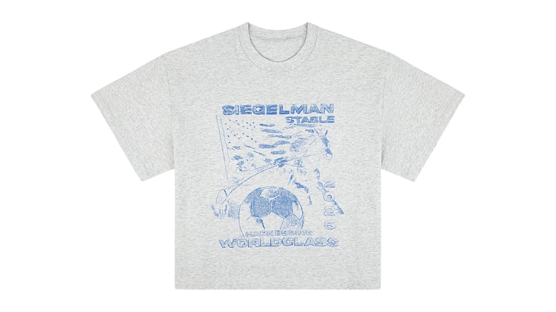 Siegelman Harnessing World-Class Boxy Tee Gray