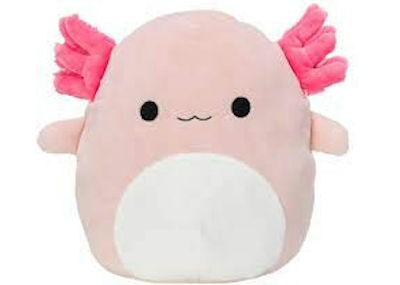 Archie Squishmallow at Sebastian Moses blog