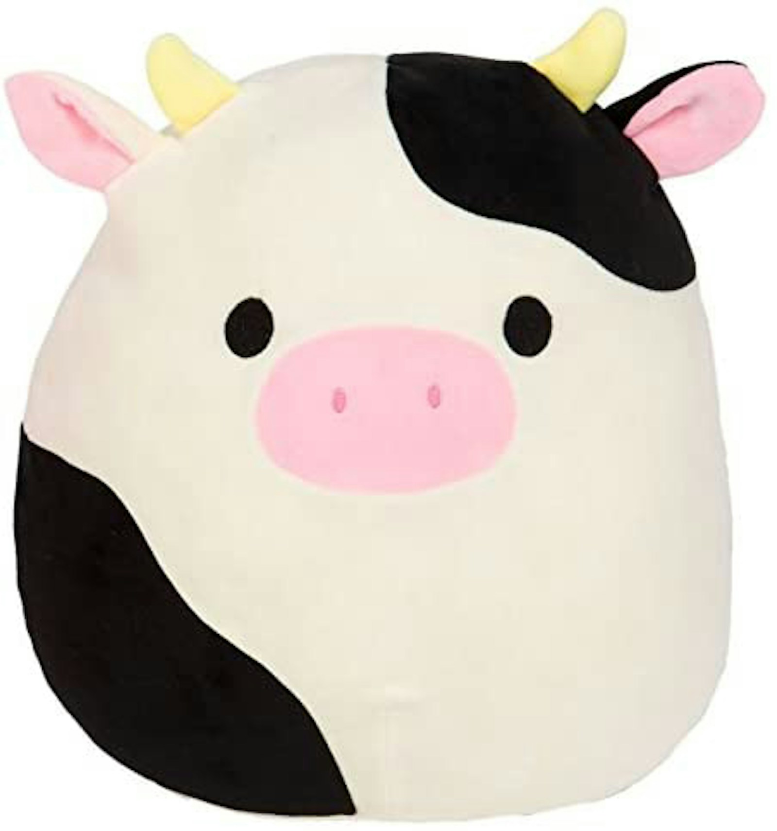 Cow Squishmallow Special
