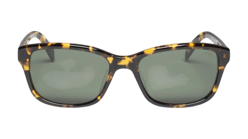 Stussy Alan Sunglasses Olive Tortoise/Green Lens Men's - FW25 - GB