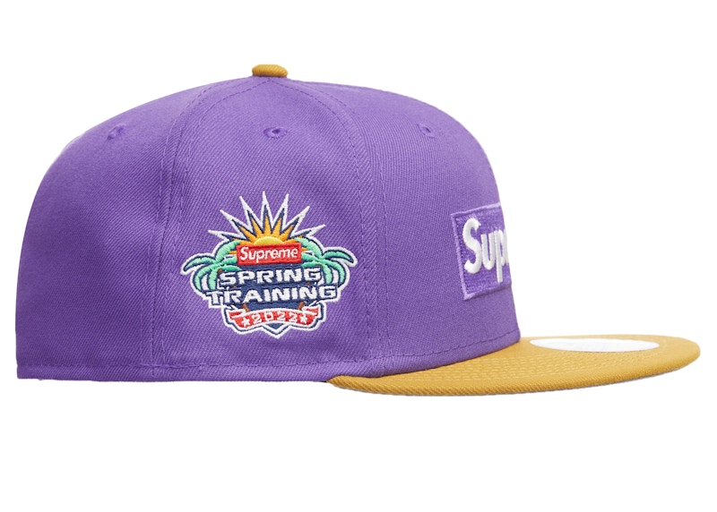 Supreme 2-Tone Box Logo New Era Purple - SS22 - US