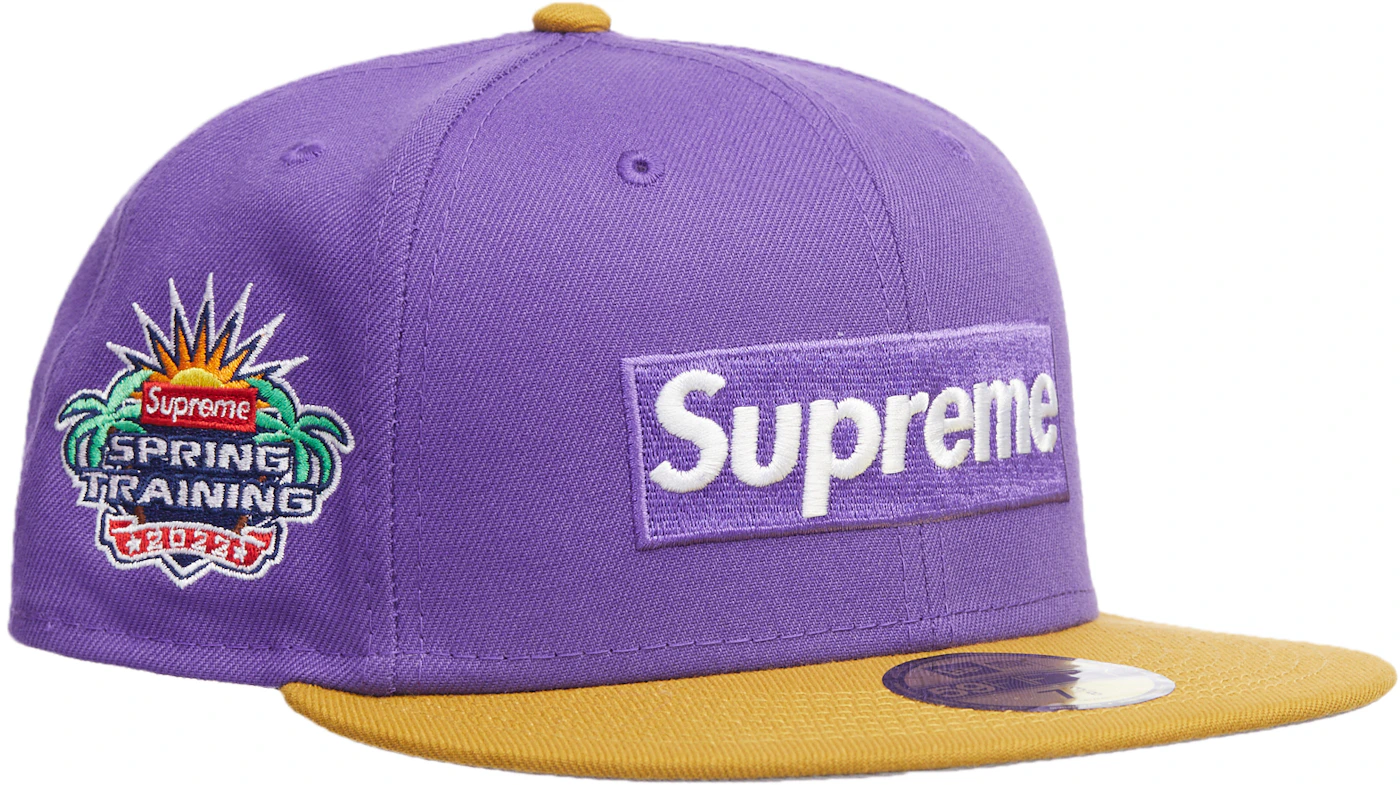 Supreme tonal box logo tee purple – studio89kicks