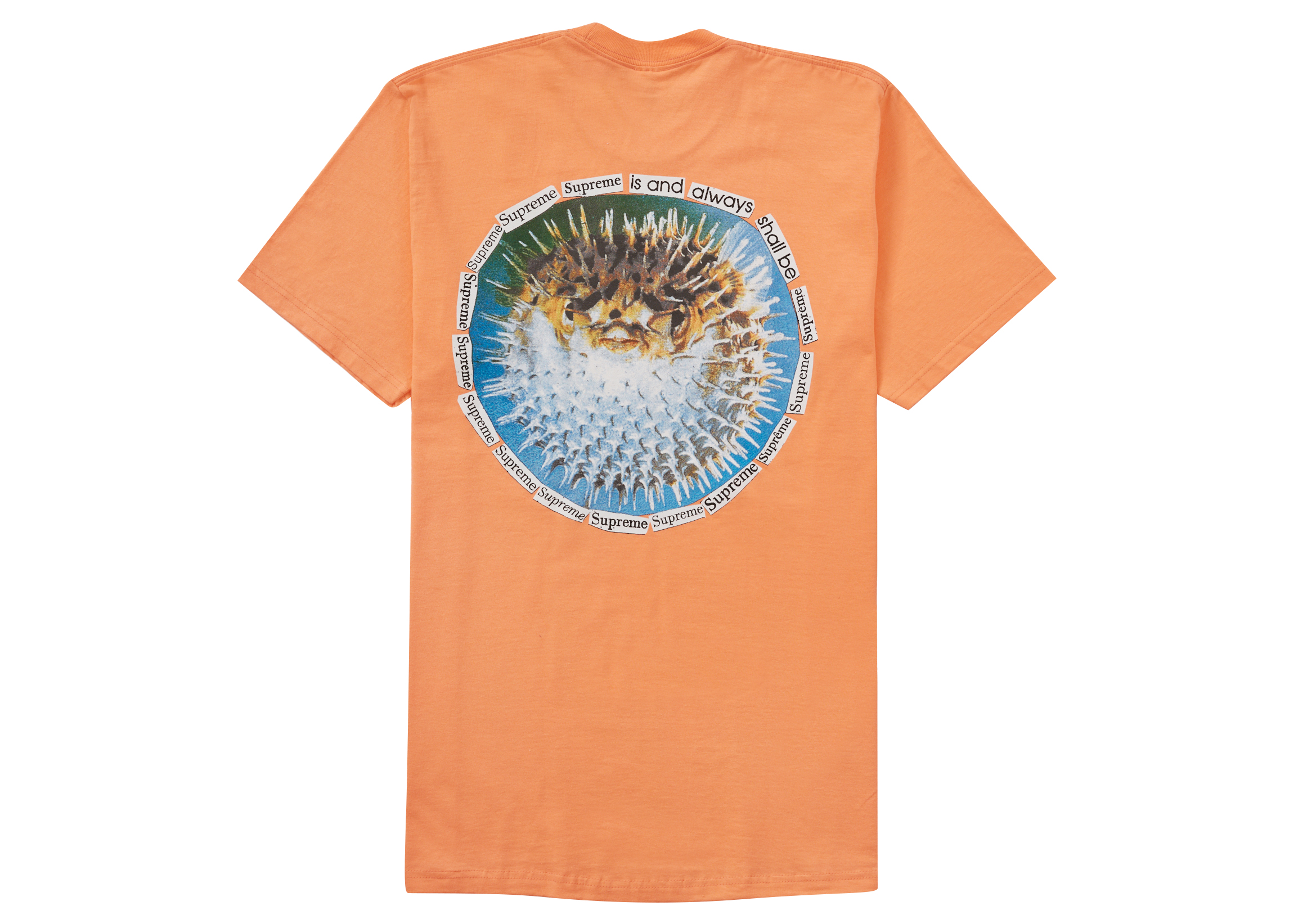 Supreme Blowfish Tee Tシャツ Lサイズ ピーチメンズ