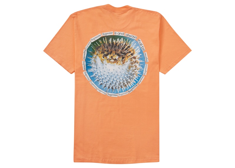 Supreme Blowfish Tee Tシャツ Lサイズ ピーチ