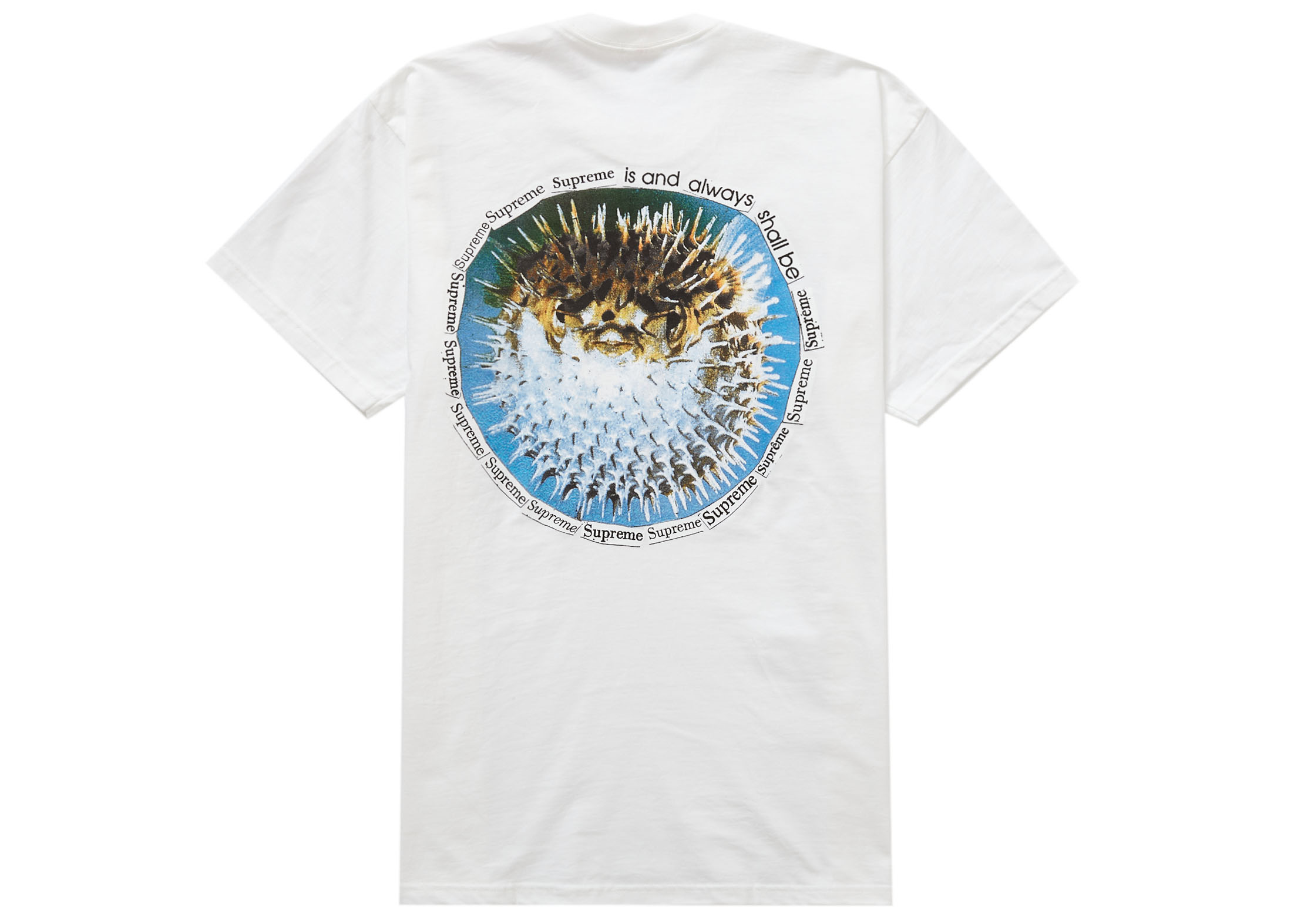 Supreme Blowfish Tee - Tシャツ/カットソー(半袖/袖なし)