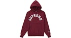 Supreme Champion Hooded Sweatshirt (SS25) Red