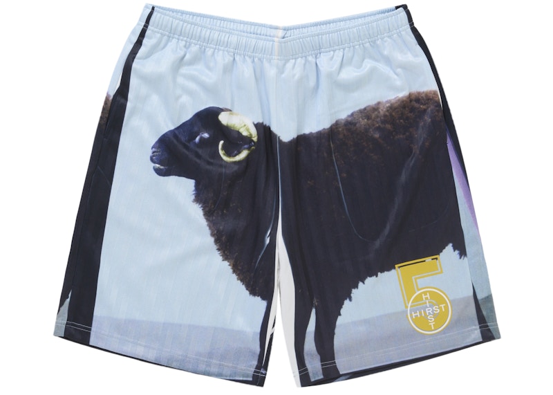 Supreme Damien Hirst Soccer Short (SS25) - $128