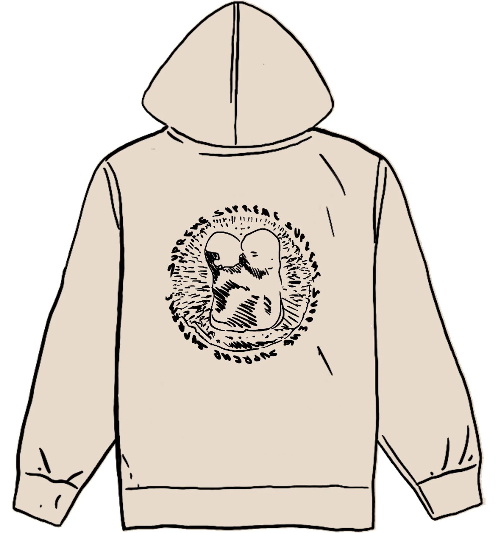 Supreme embryo best sale hooded sweatshirt