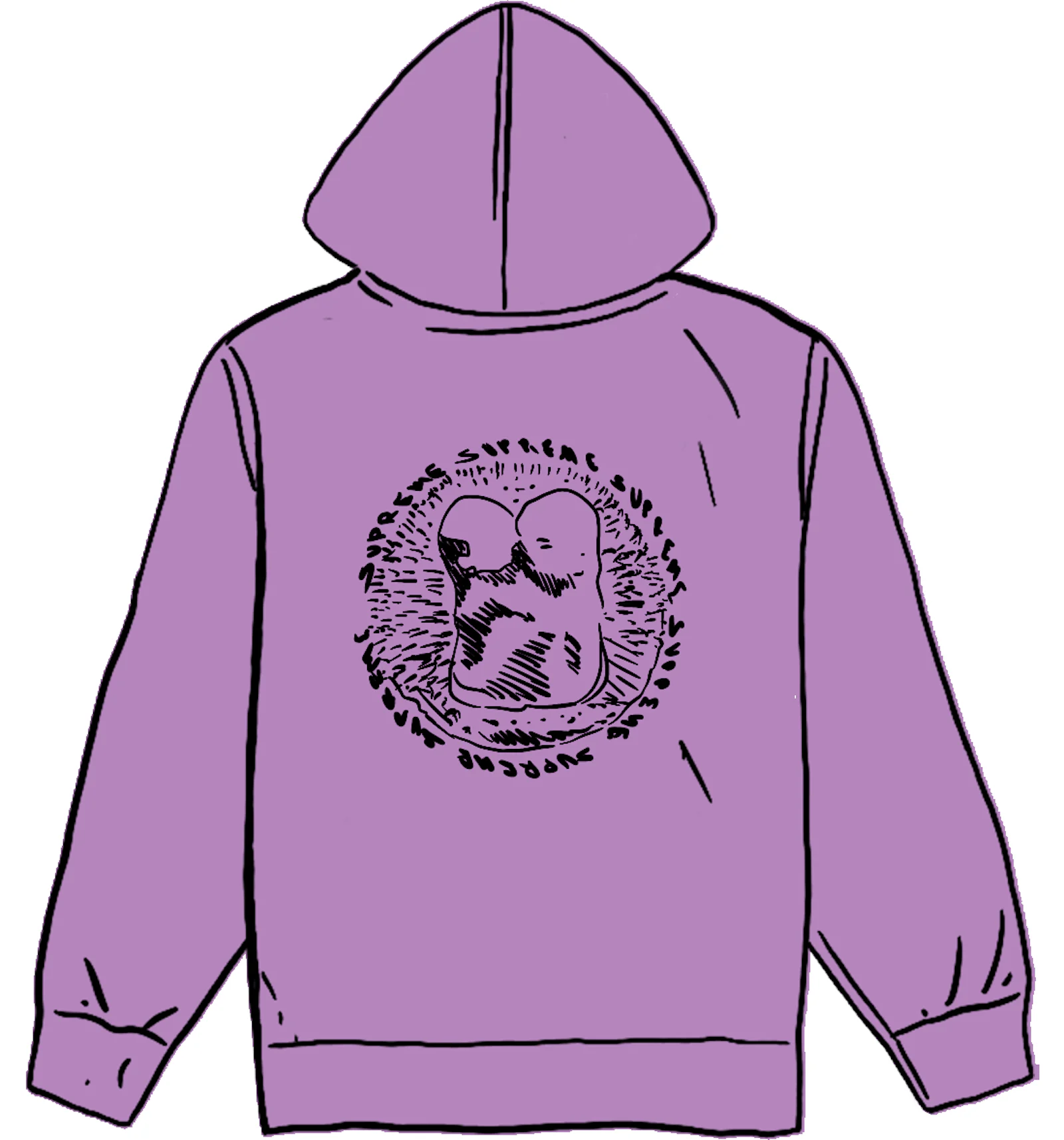 Supreme embryo hotsell hooded sweatshirt