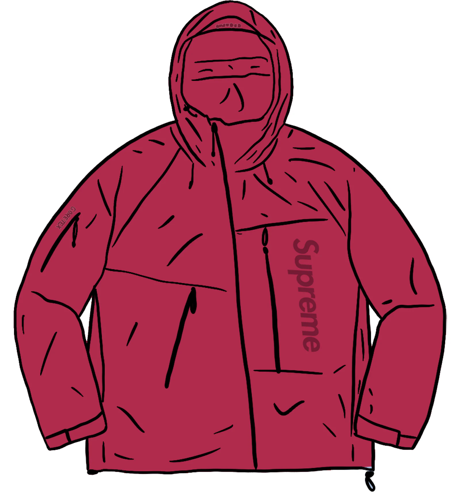 Supreme x 2024 gore tex jacket