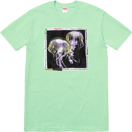 Supreme Jellyfish Tee Mint - SS18 - JP