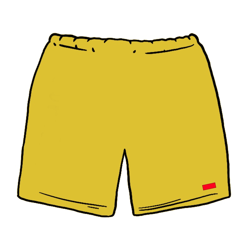 Supreme nylon shorts on sale