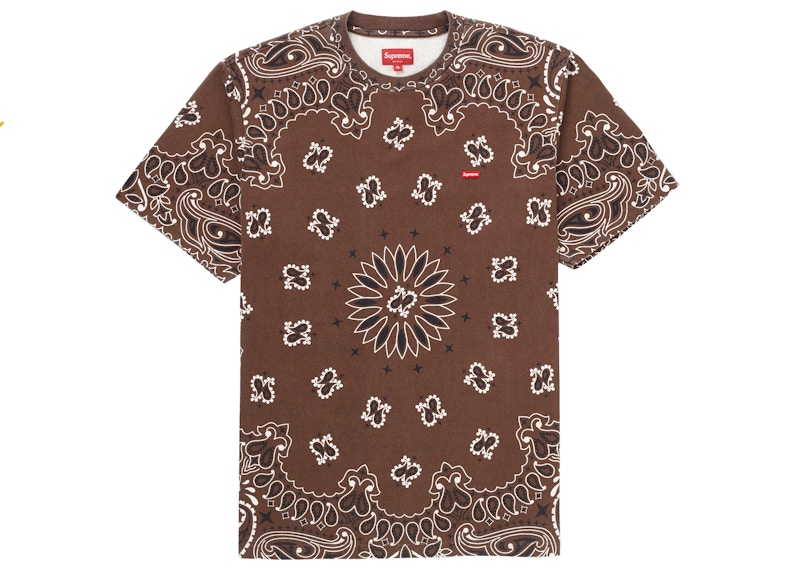 Supreme Small Box Tee Brown Bandana Men's - SS21 - GB