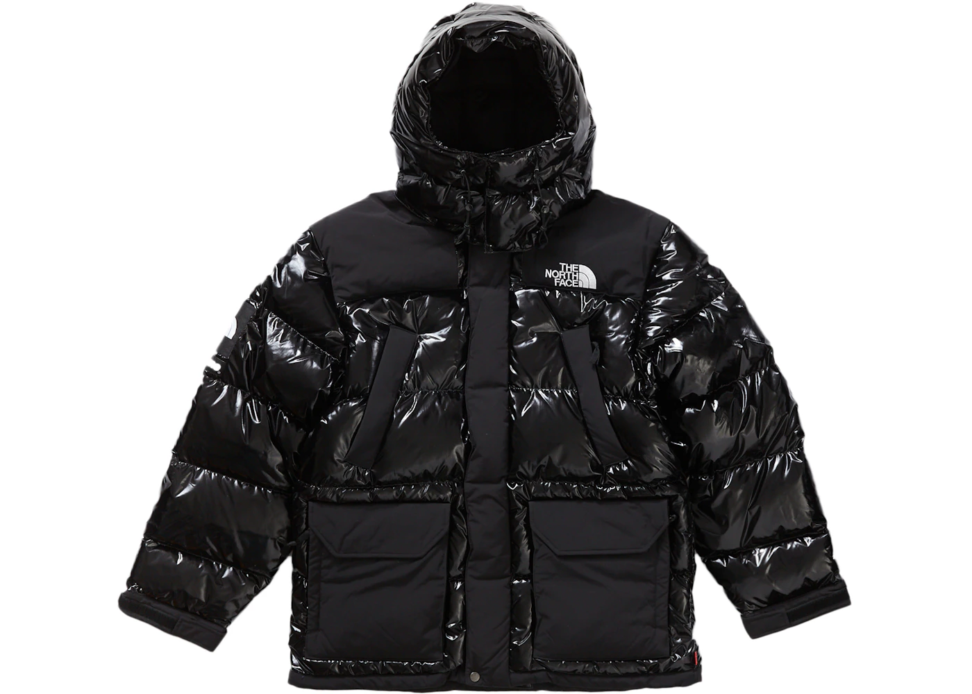 Supreme The North Face 700-Fill Down Parka Black Dragon Men's