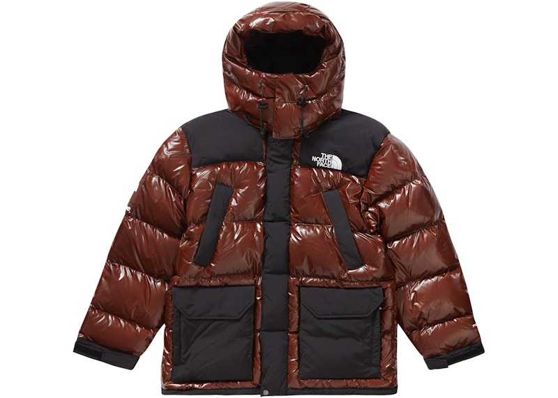 Supreme The North Face 700-Fill Down Parka Brown Men's