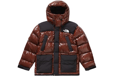 Supreme The North Face 700-Fill Down Parka Brown Men's FW22 US