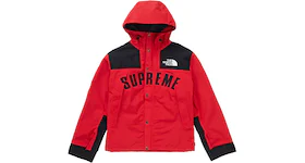Supreme The North Face Arc Logo Mountain Parka Red