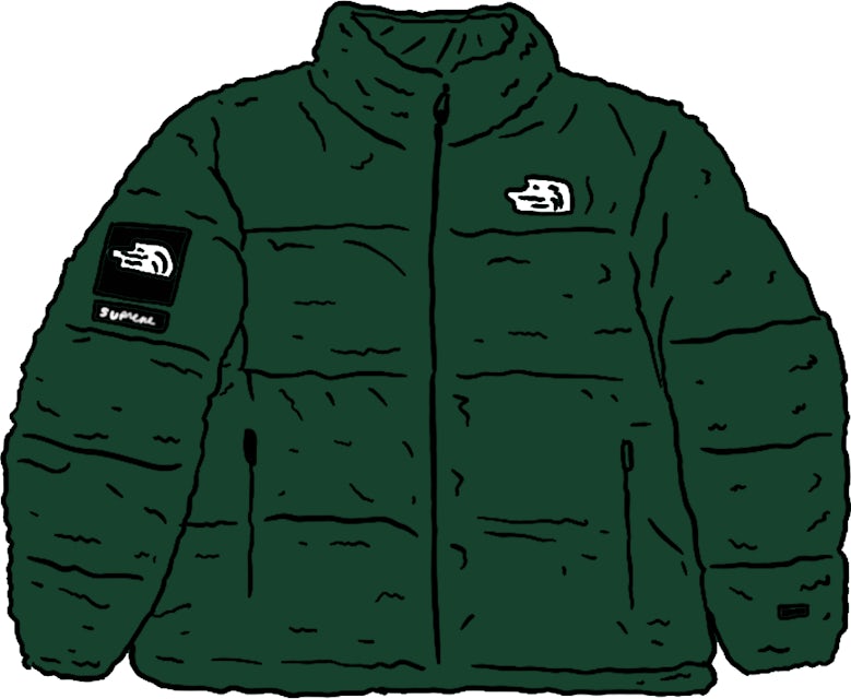 Supreme The North Face Faux Fur Nuptse Jacket Green