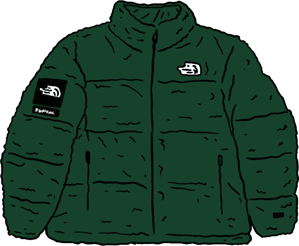 Supreme The North Face Faux Fur Nuptse Jacket Green Fw