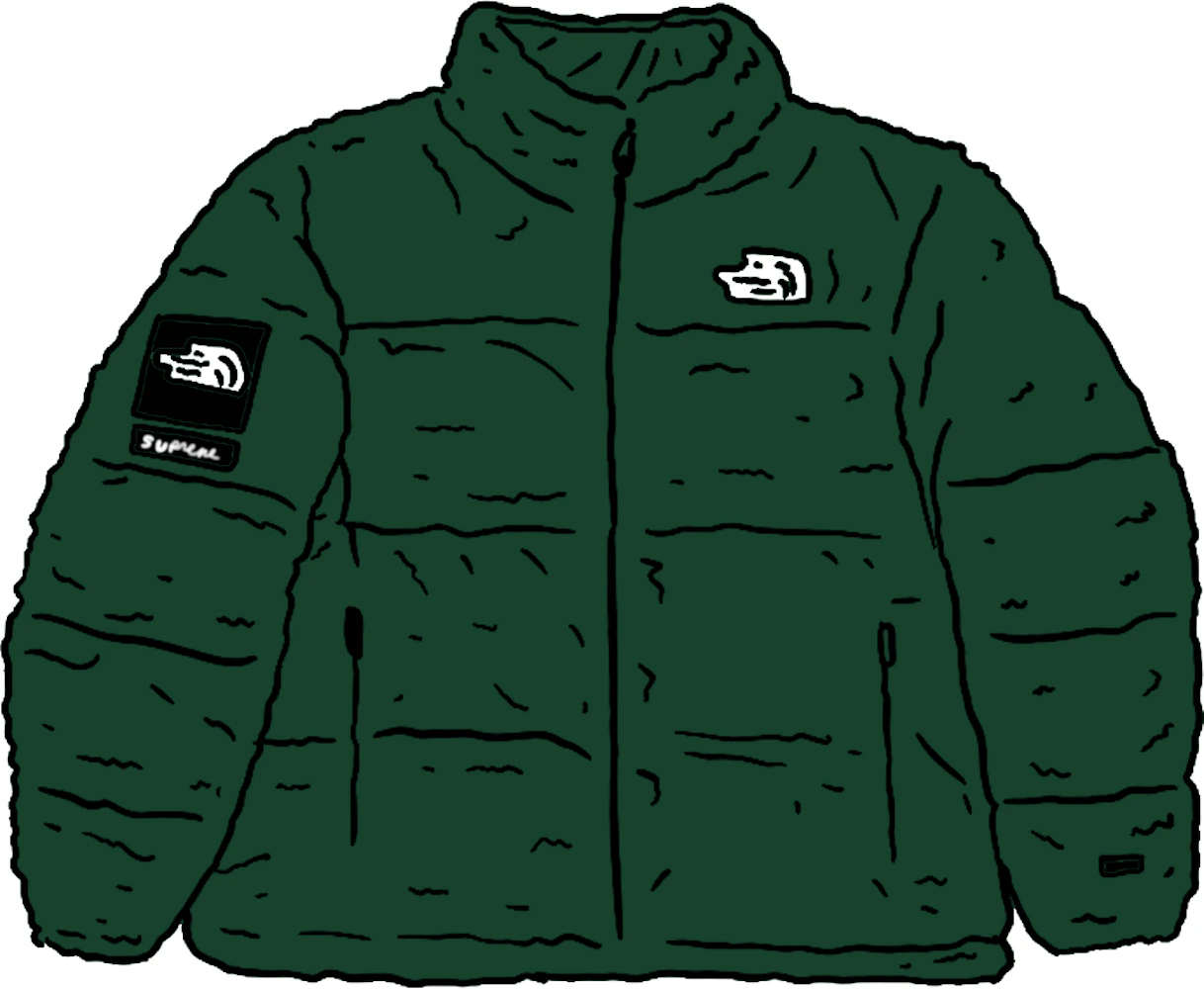 Supreme The North Face Faux Fur Nuptse Jacket Green Men's - FW20 - GB
