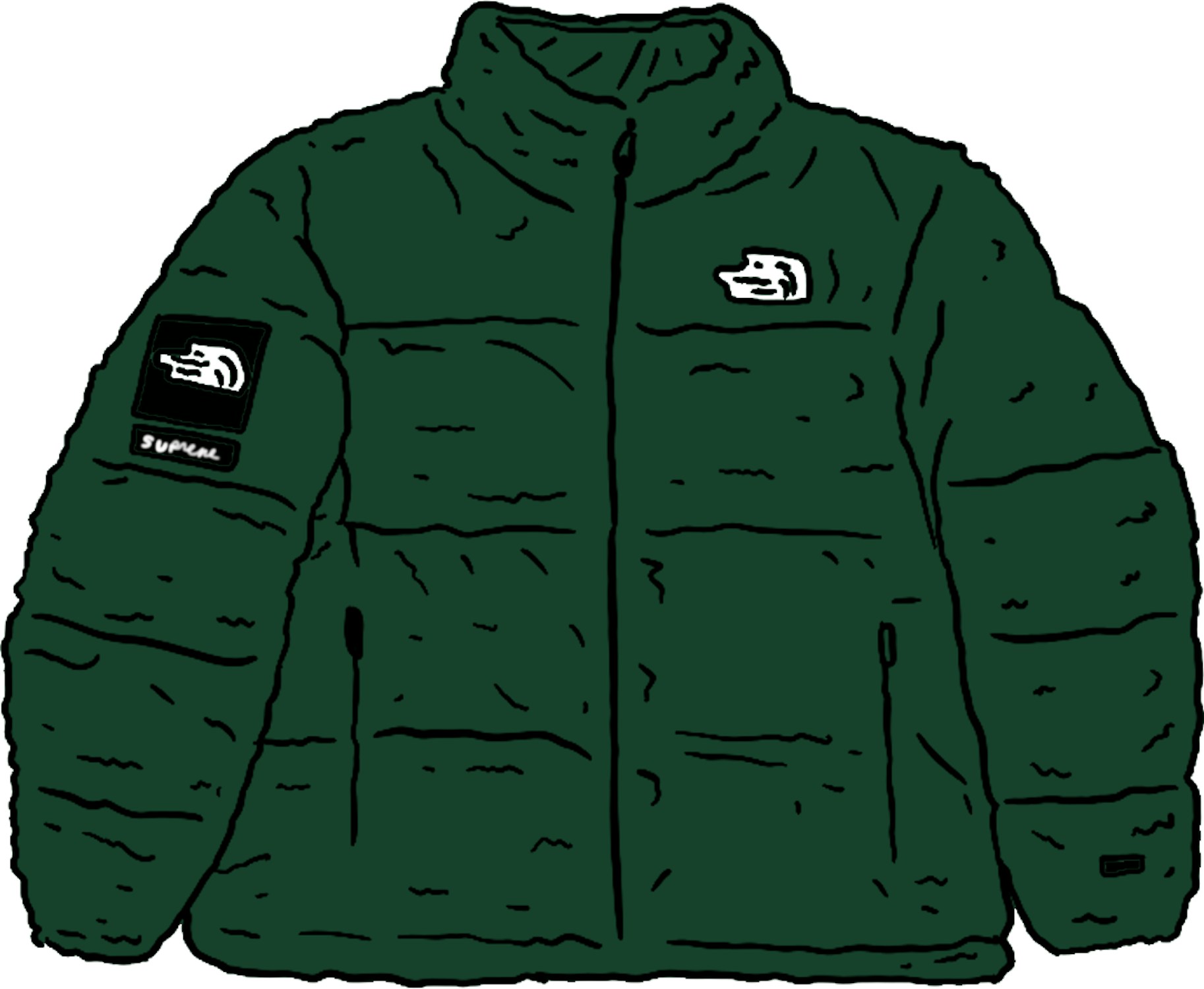 Supreme The North Face Faux Fur Nuptse Jacket Green - FW20