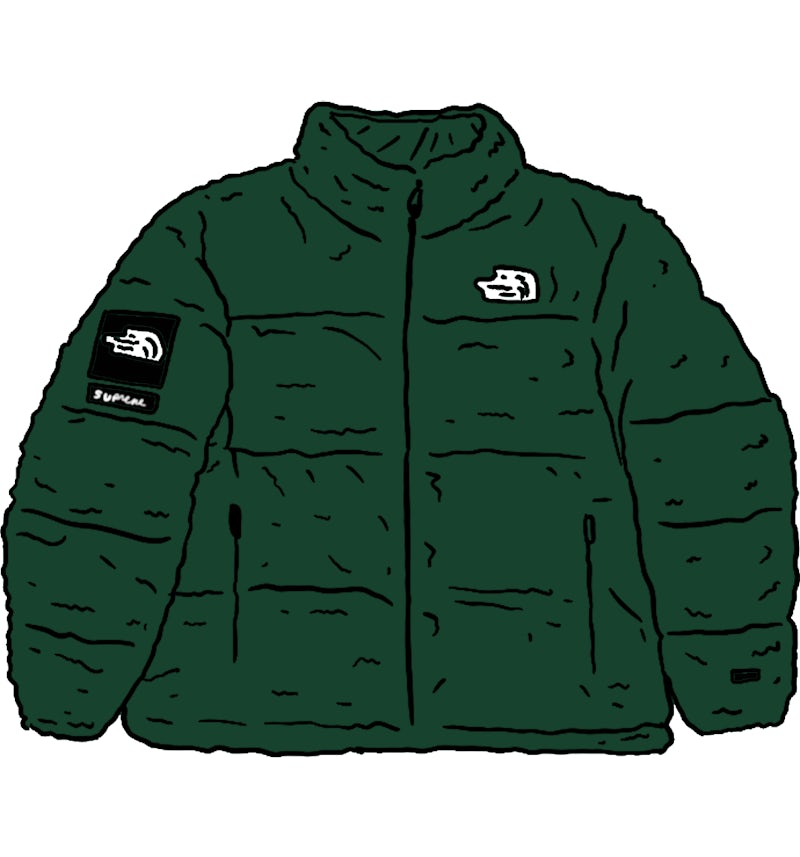 Supreme The North Face Faux Fur Nuptse Jacket Green Men's - FW20 - US Supreme The North Face Faux Fur Nuptse Jacket Green Men's - FW20 - US