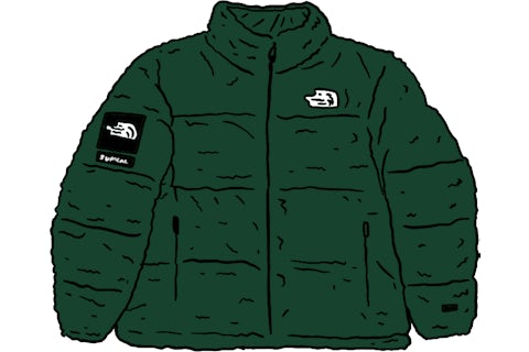 専用Supreme The North Face Faux Fur Nuptse Supreme The North Face Faux Fur Nuptse Jacket Green Men's
