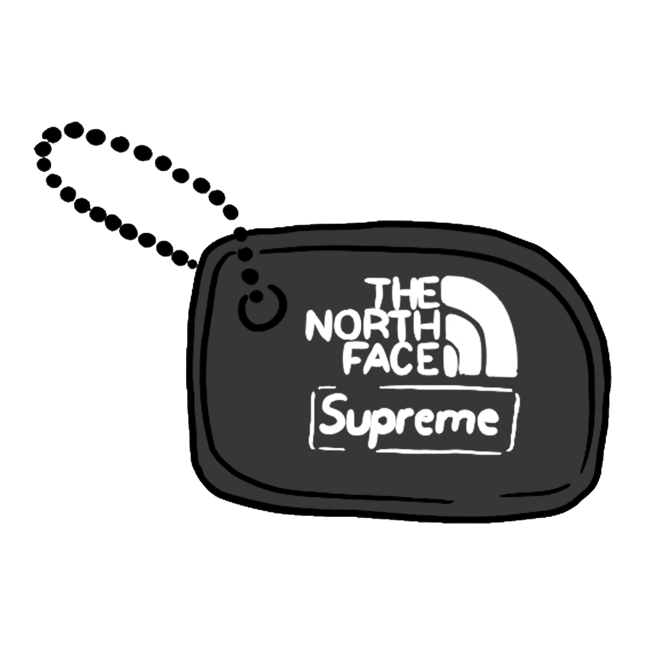 Supreme The North Face Floating Keychain