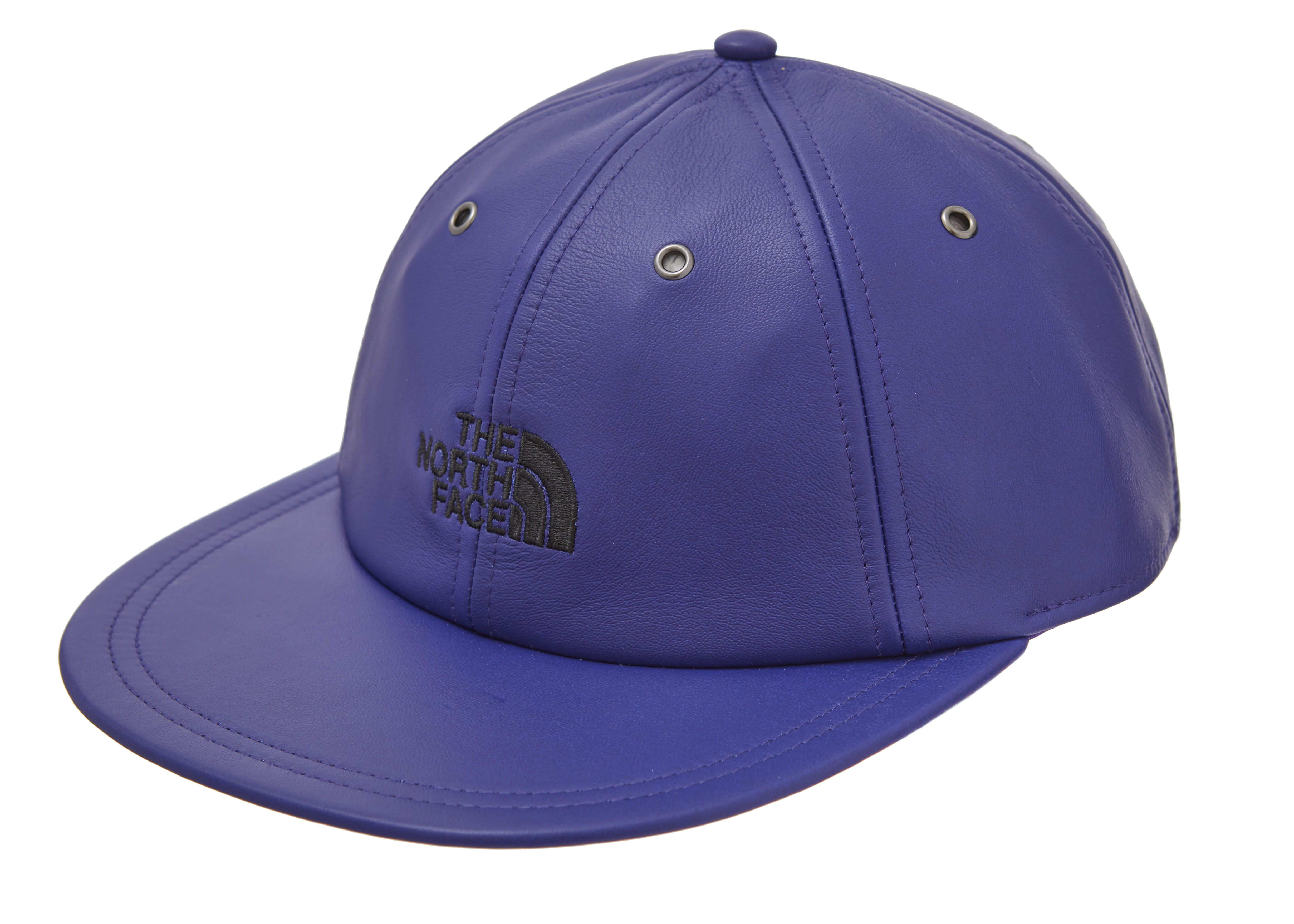 Supreme North Face Leather 6-Panel