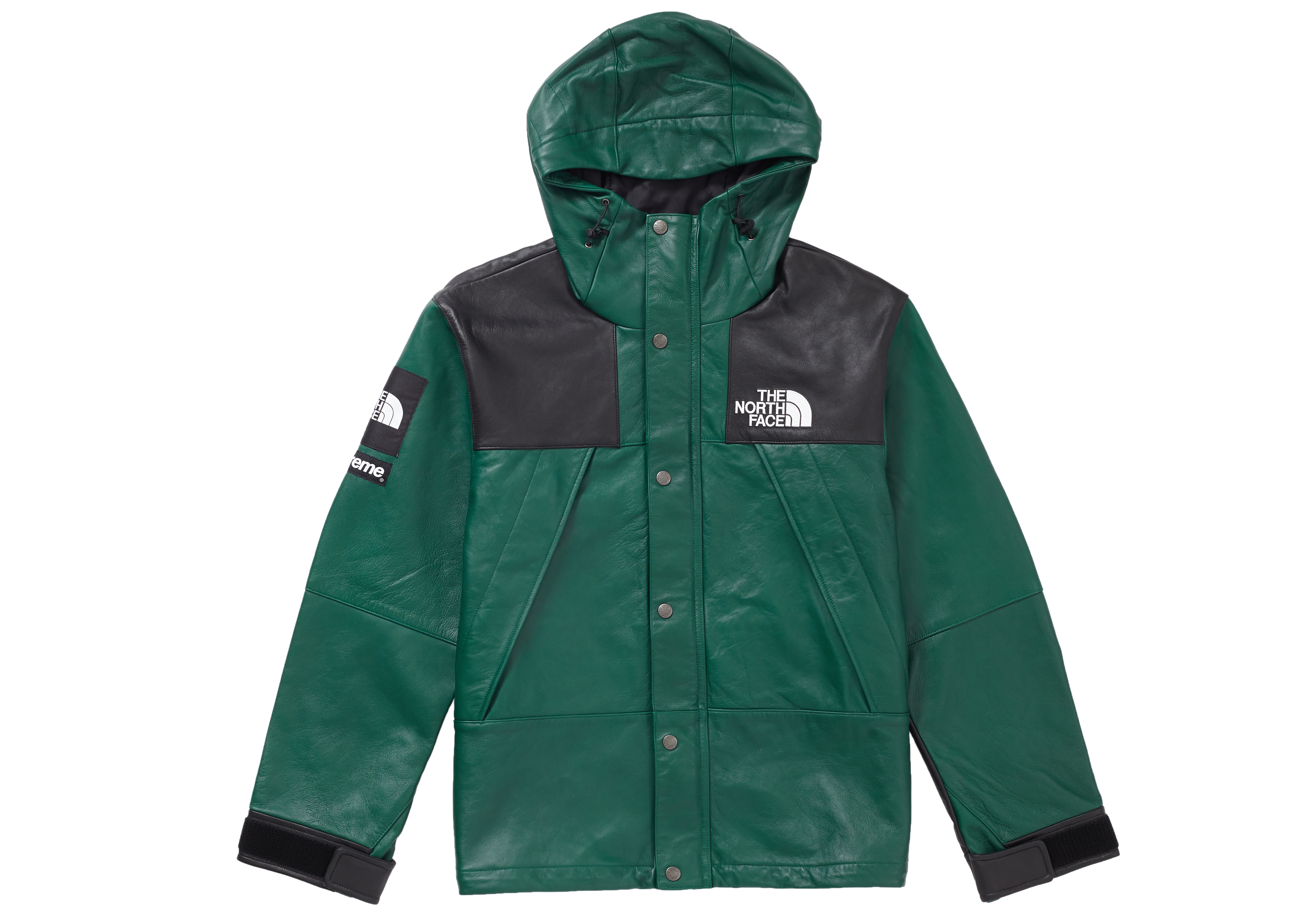 Supreme The North Face Leather Mountain Parka Dark Green メンズ ...