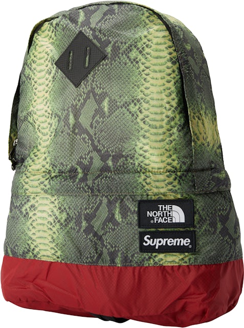 Supreme Classic Backpack in Green