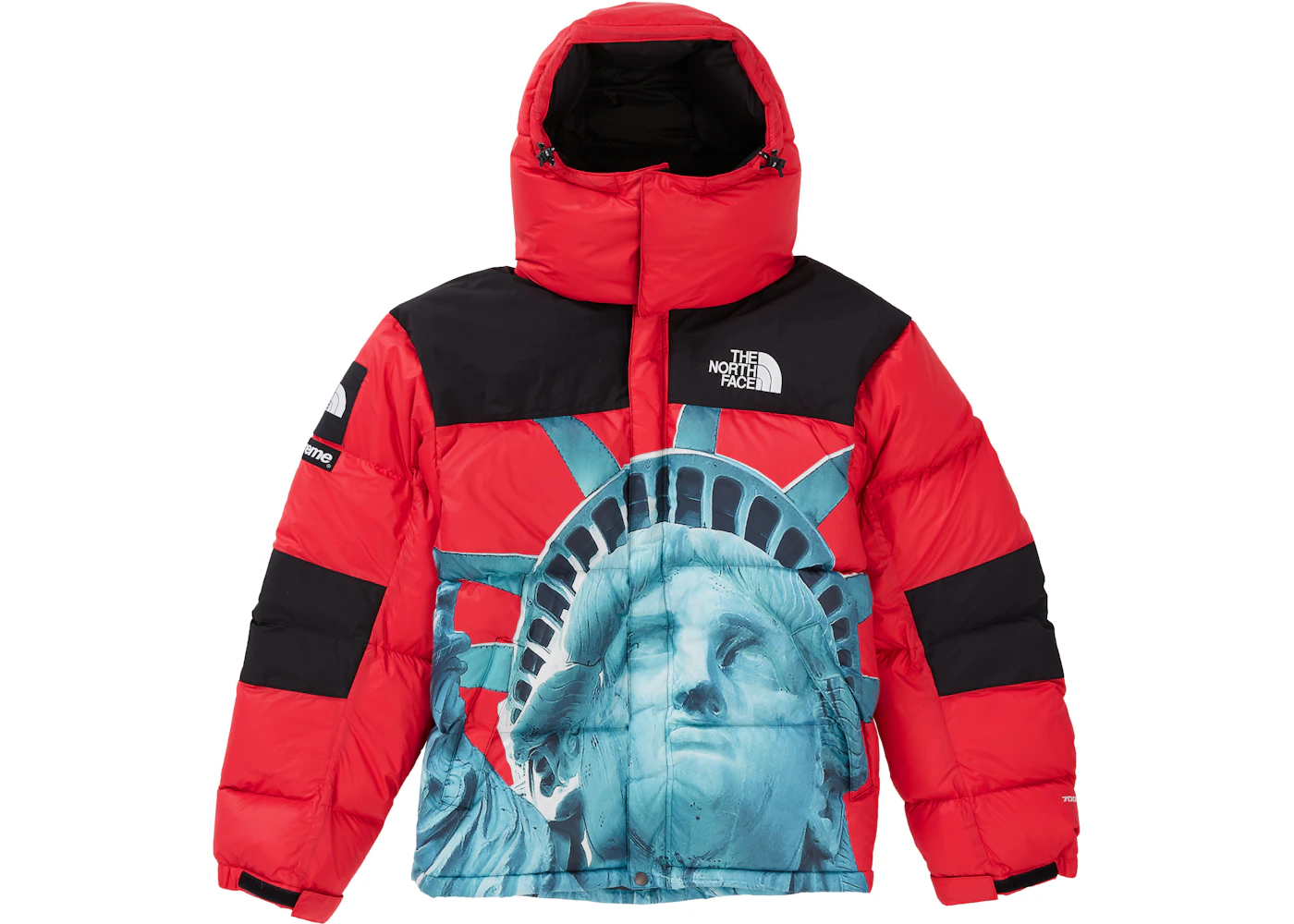 Supreme north face statue of liberty mountain jacket Clearance