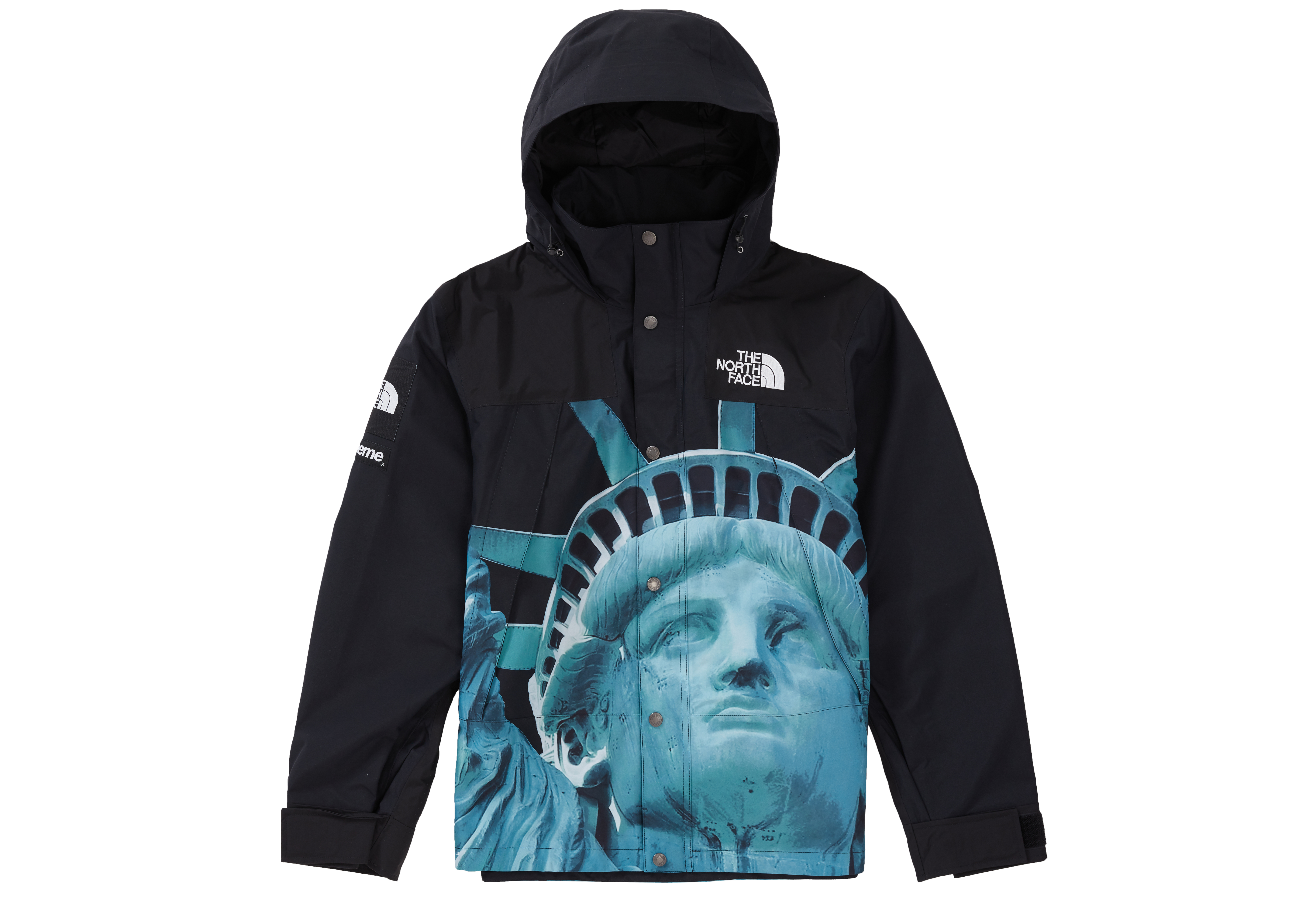Supreme The North Face Statue of Liberty Mountain Jacket Black