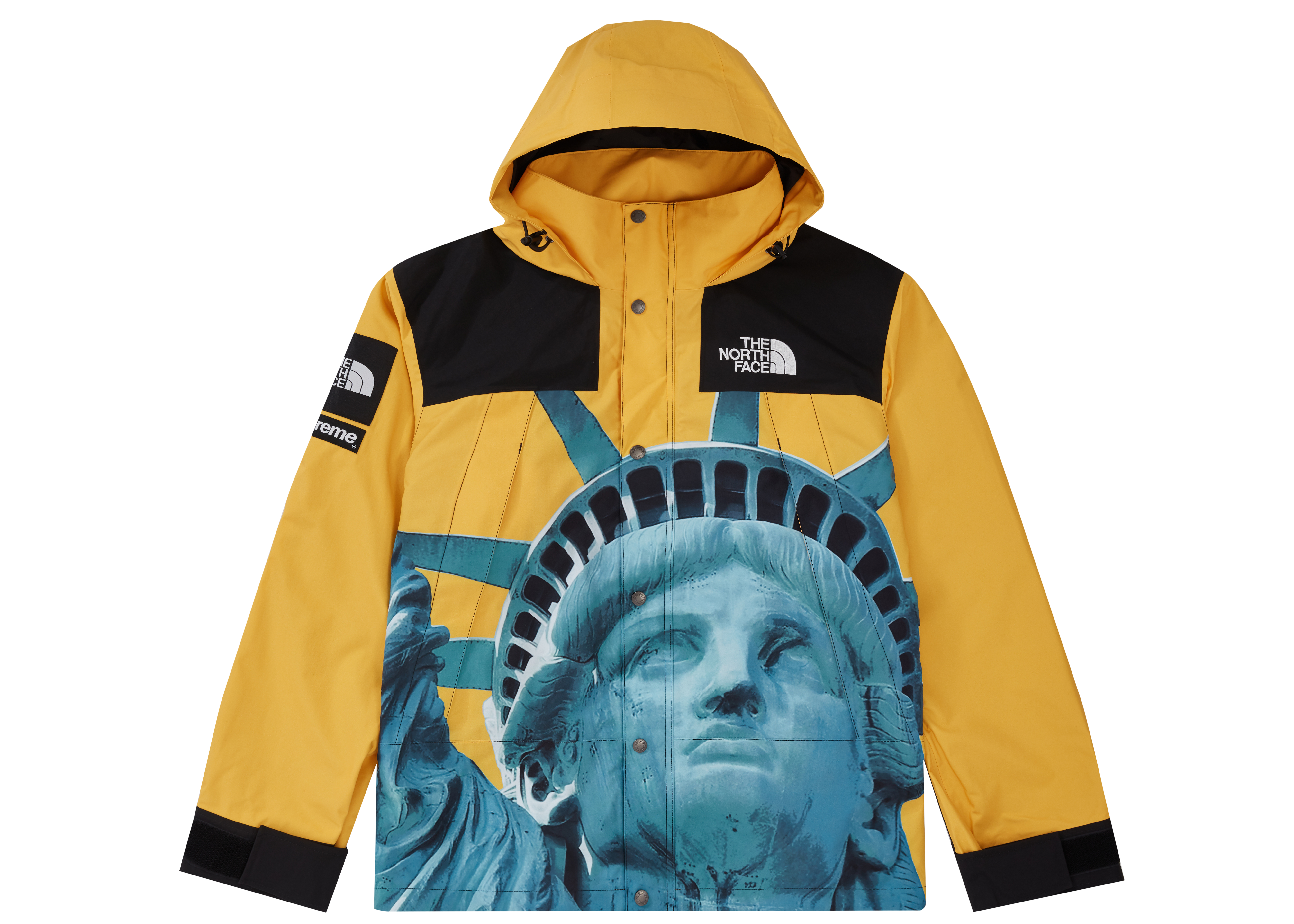 Supreme The North Face Statue of Liberty Mountain Jacket Black 
