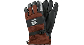 Supreme The North Face Steep Tech Gloves Brown